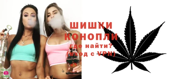 PSILOCYBIN Гусев