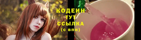 экстази Гусь-Хрустальный