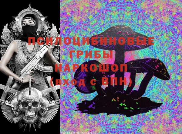 Альфа ПВП Гусиноозёрск