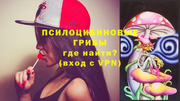 PSILOCYBIN Гусев