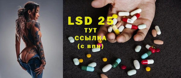 PSILOCYBIN Гусев