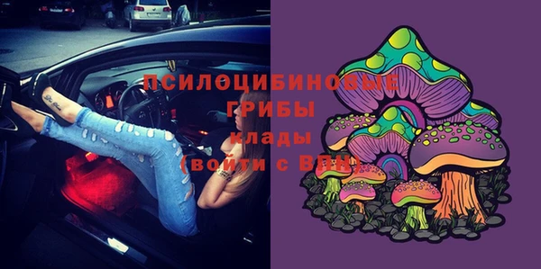 Альфа ПВП Гусиноозёрск