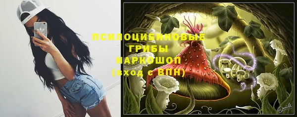 герыч Козловка