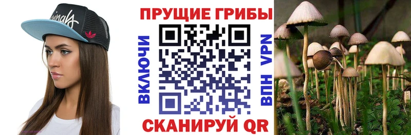 Галлюциногенные грибы прущие грибы  Зеленоградск 
